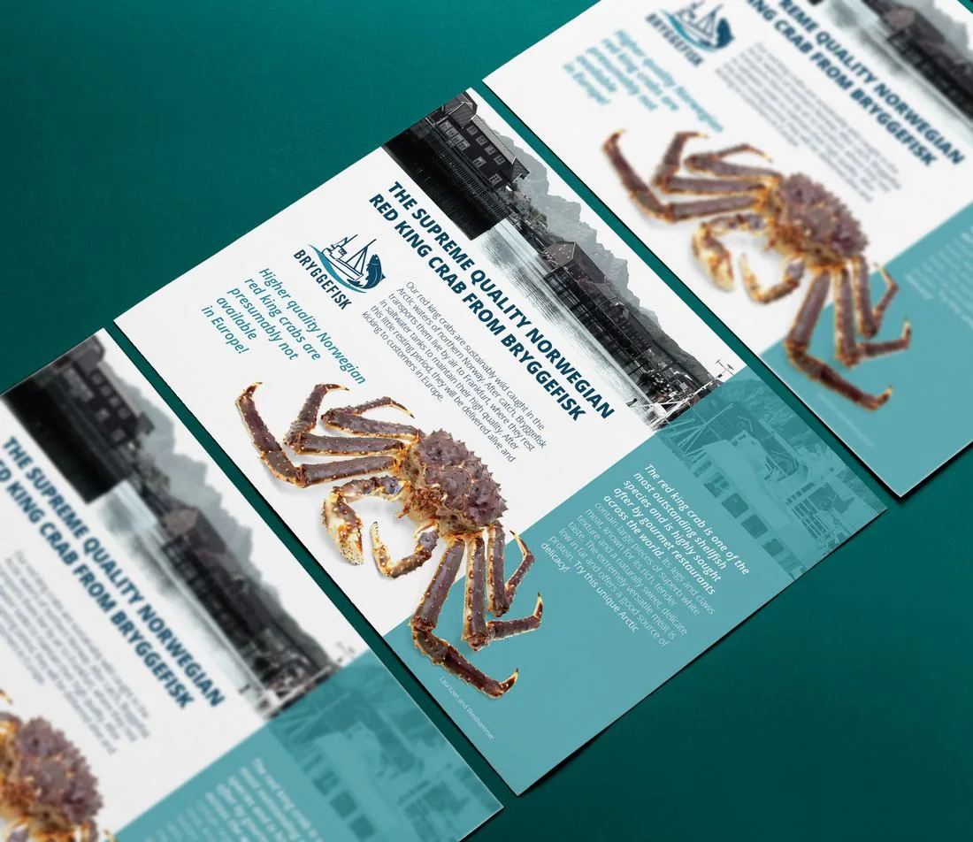 Advertising flyers & brochures